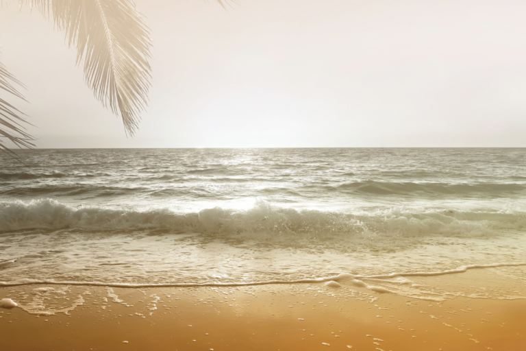 UV-säteilyn heijastevaikutus. Kuvassa meri ja hiekkaranta sekä palmun lehviä.