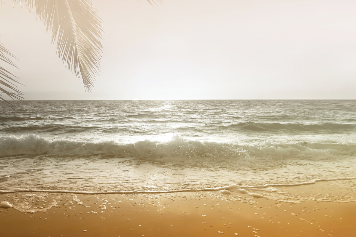 UV-säteilyn heijastevaikutus. Kuvassa meri ja hiekkaranta sekä palmun lehviä.